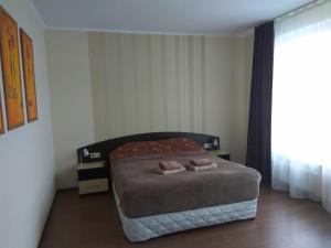een slaapkamer met een bed met 2 kussens erop bij S&M Apartments - Zarichna in Kiev