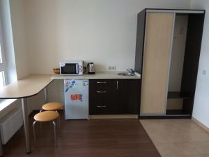 een kleine keuken met een koelkast en een wastafel bij S&M Apartments - Zarichna in Kiev