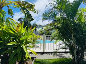 a pool with a white fence and palm trees at Paradize- Plage & 3Piscines - Anse Marcel in Anse Marcel 