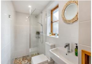 a bathroom with a shower and a toilet and a sink at The Saddlery Barn Retreat in Ashford