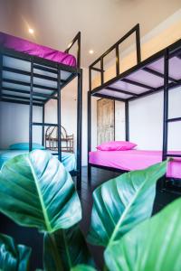 2 Etagenbetten in einem Zimmer mit einer Pflanze in der Unterkunft Sweet Life Community Guesthouse in Ko Lanta