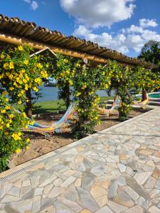 a garden with a bunch of orange trees at Riviera Barão de Antonina - Chalés na Represa - Piscina vista incrível in Barão de Antonina