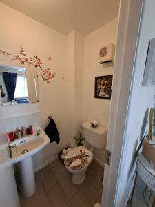 a small bathroom with a sink and a toilet at Notre Petit Chateau in Rosslare Harbour +45 photos