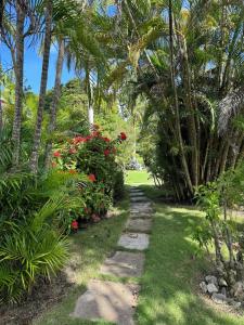 a path through a garden with palm trees and flowers at Heaven Can Wait APT2 in Steer Town