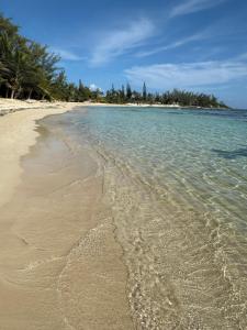 an empty beach with trees in the distance at Heaven Can Wait APT2 in Steer Town +5 photos
