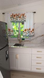 a kitchen with a sink and a window at Heaven Can Wait APT2 in Steer Town