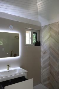 a bathroom with a sink and a mirror at Heaven Can Wait APT2 in Steer Town