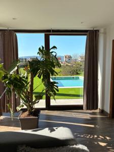 a living room with a plant and a large window at CESANTES VILLAGE e in Pontevedra