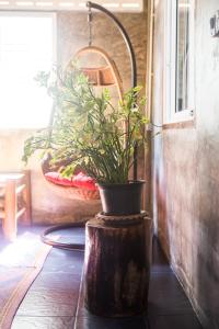 Gallery image of Sweet Life Guesthouse in Ko Lanta