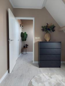 a hallway with a black dresser with a plant on it at Het Gewei in Burgh Haamstede
