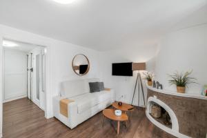 ein Wohnzimmer mit weißem Sofa und Kamin in der Unterkunft Boel 4 Studio in Genf