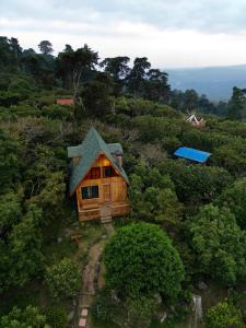 an aerial view of a cabin in the middle of a forest at Entrecafe Experience- Los Naranjos in Ojo de Agua