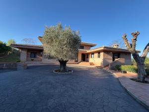 a house with a tree in the middle of a driveway at Montesión 71 - Casa con piscina & jardín, al lado de Puy du Fou in Toledo