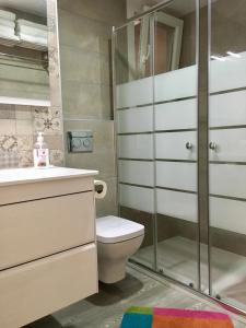 La salle de bains est pourvue de toilettes et d'une douche en verre. dans l'établissement Apartment near Arts & Science, à Valence