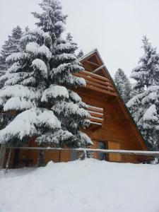 Chalet The Best View durante l'inverno