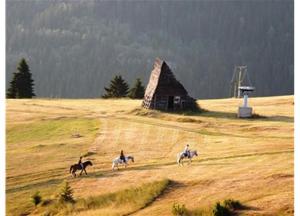 Paesaggio naturale nelle vicinanze dello chalet