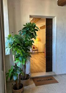 a hallway with two potted plants and a living room at Dimore Romeo - La Dimora del Corso in Montecastrilli