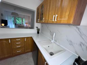 a kitchen with a white sink and wooden cabinets at Silesia Park Bytom 24H Park Miejski Centrum in Bytom