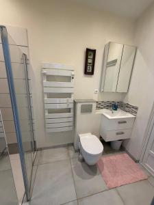a bathroom with a toilet and a sink and a shower at Maison au calme proche accès rocade in Montauban +12 photos