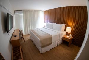 a hotel room with a large bed and a television at Hotel Raices del Arapey in Termas del Arapey