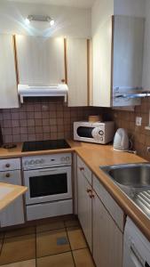 a kitchen with a stove and a sink and a microwave at Moléson Altitude in Moleson