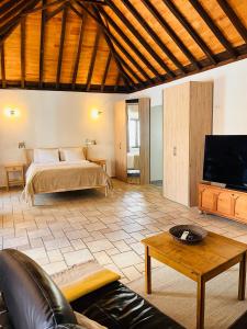 a living room with a bed and a television at Faro Town House in Faro