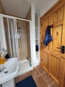 a bathroom with a shower and a sink and a toilet at Ardnacassa in Kilcrohane