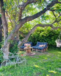 a swing and a table under a tree at Tiny House avec jacuzzi privé - calme et nature in Grabels