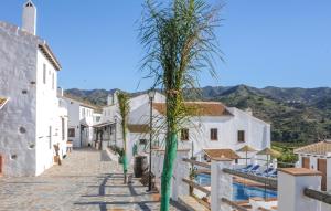 a street in a village with white houses and a palm tree at El Pajar in Málaga +22 photos
