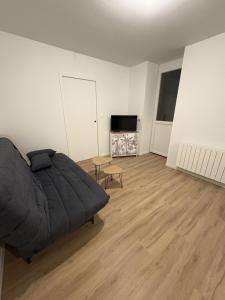 a living room with a couch and a television at LONI EXPERIENCES - L'Escale in Challans