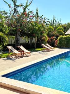 a swimming pool with lounge chairs and a tree at POUSADA RANCHO PARAISO in Pôrto de Pedras +44 photos