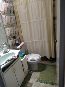 a bathroom with a toilet and a sink and a shower at Alojamiento Victoria in Montevideo +23 photos