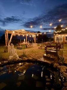 a buddha statue sitting next to a pond at night at Salesta San Pedro in San Pedro