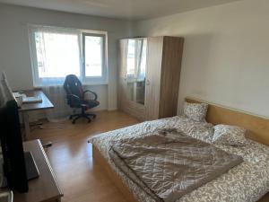 a bedroom with a bed and a desk and a chair at Cosy Apartment in Aadorf