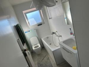 a small bathroom with a toilet and a sink at Cosy Apartment in Aadorf