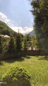 a field of grass with a fence and trees at Highland guest house Vuthaj in Vusanje