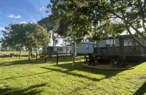 a campsite with a picnic table in a park at Pioneer Caravan Park in Dalby