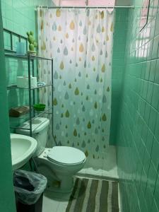 a bathroom with a toilet and a shower curtain at Casa Girasoles in Orizaba