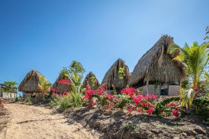 a row of huts on the beach with flowers at The Dream Eco Glamping in La Sabrosa
