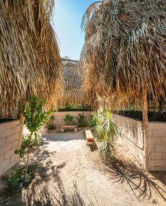 a patio with a bench and some palm trees at The Dream Eco Glamping in La Sabrosa