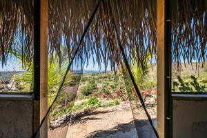 a view of the ocean from a room with a palm tree at The Dream Eco Glamping in La Sabrosa +9 photos