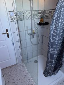 a shower with a glass door in a bathroom at Le petit cocon in Brêmes +9 photos