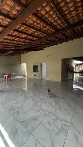 a dog sitting on the floor of an empty room at Parnaíba cantinho do sossego in Parnaíba