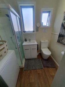 a bathroom with a toilet and a sink and a shower at Stanmore Bay Beachfront Cottage in Whangaparaoa +37 photos