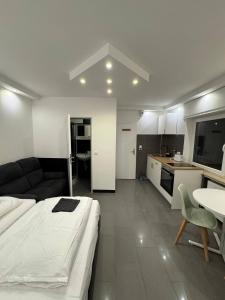 a large room with a bed and a kitchen at Studio Apartment next to Airport in Kelsterbach