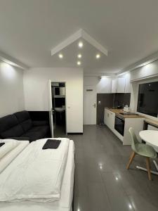 a large room with a bed and a kitchen at Studio Apartment next to Airport in Kelsterbach