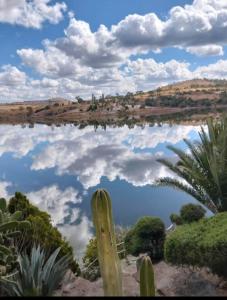 a reflection of the sky in a pond of water at RosePlace Valsequillo in Durazno