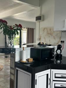 a kitchen with a black microwave on a counter at OC Villa in Calodyne +8 photos