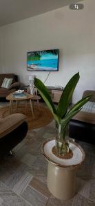 a living room with a vase with a plant in it at OC Villa in Calodyne