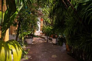 a walkway with trees and plants in a building at Siyada Villa in Lamai